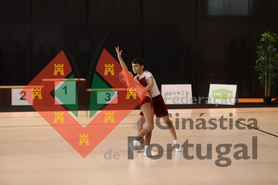1019_Taca Portugal AER